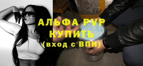 соль ск Новодвинск