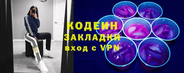 стафф Осинники
