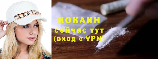 соль ск Новодвинск