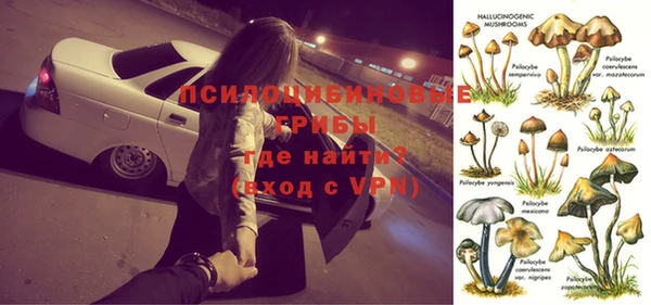стафф Осинники
