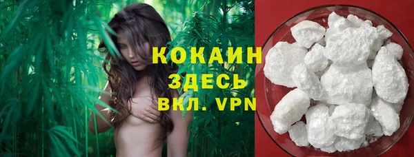 соль ск Новодвинск