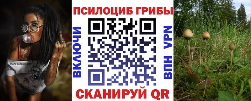 купить наркотик  mega маркетплейс  Псилоцибиновые грибы GOLDEN TEACHER  Рыльск 