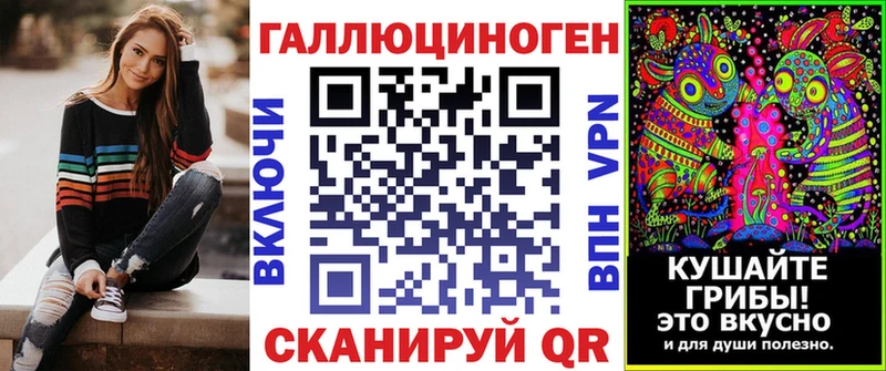 Галлюциногенные грибы Psilocybe Рыльск