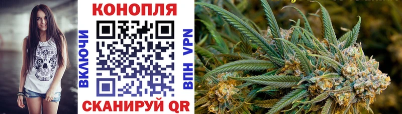 наркота  Рыльск  Конопля Amnesia 